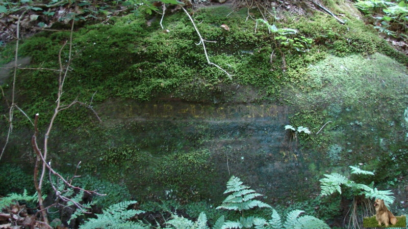 Ritterstein Nr. 209-2a Rodalb-Ursprung.JPG - Ritterstein Nr.209 Rodalb-Ursprung